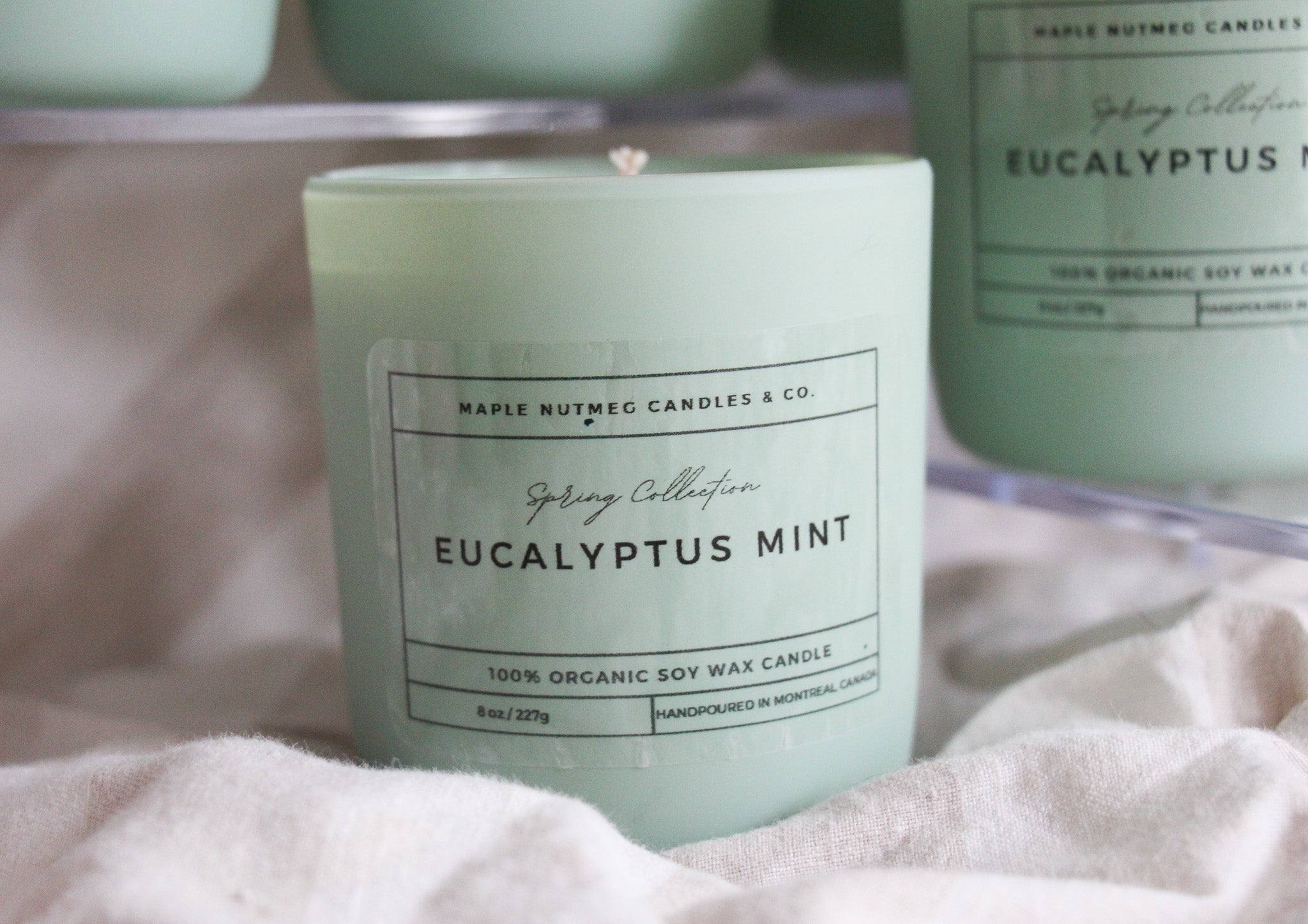 Kana Handmade Eucalyptus Mint Scented Soy Candle