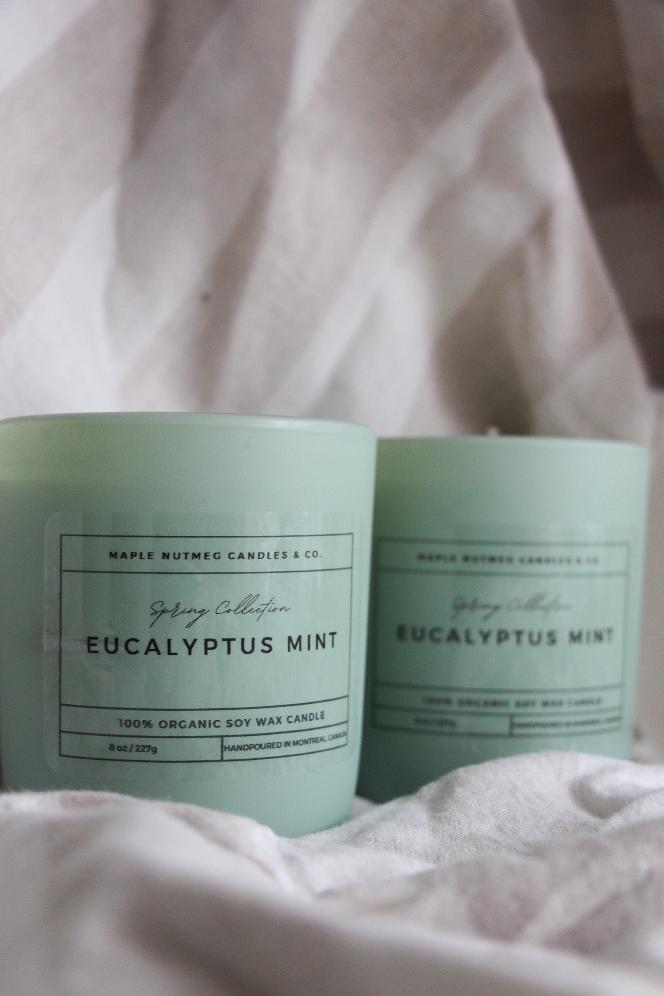 Kana Handmade Eucalyptus Mint Scented Soy Candle