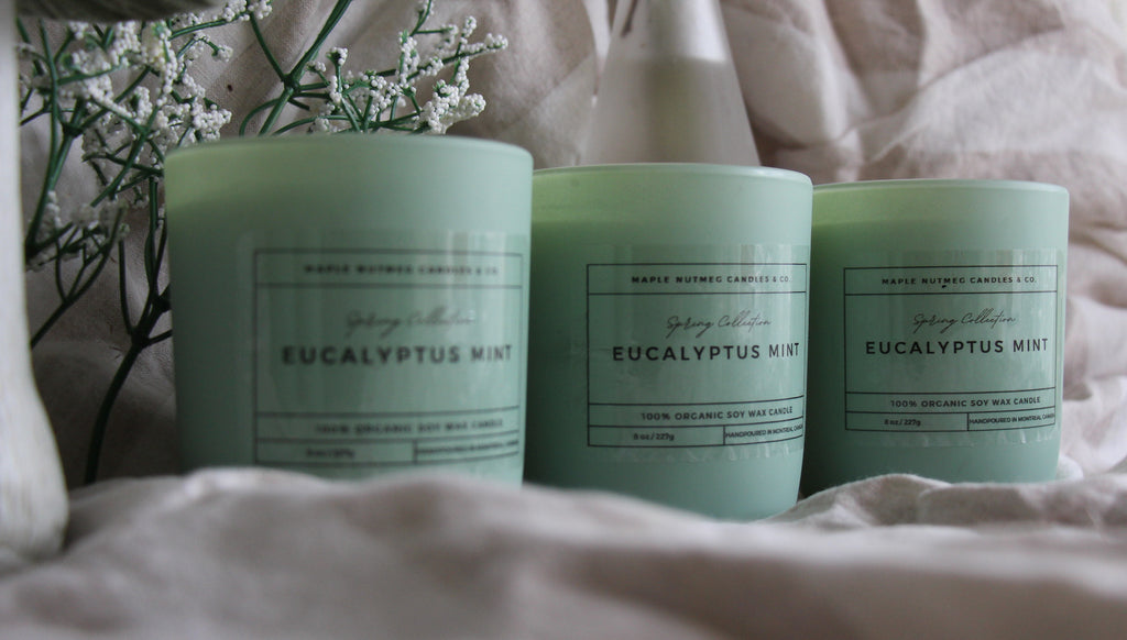 Kana Handmade Eucalyptus Mint Scented Soy Candle